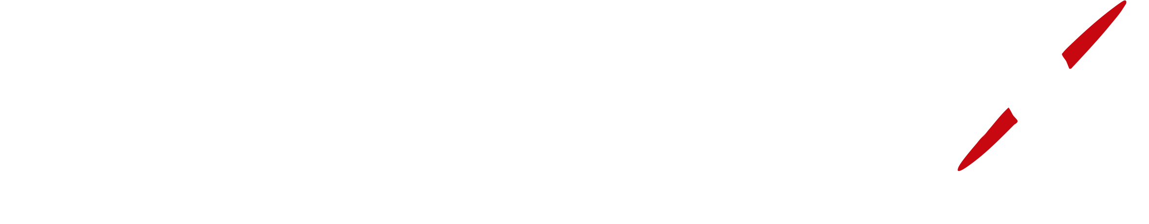 PlayerZero Logo